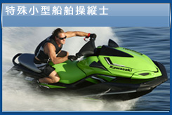 ���ꏬ�^�D�����C�Z���X